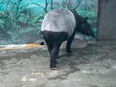 -杭州野生动物世界