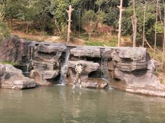 -宁波野生动物园