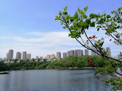 -重庆彩云湖湿地公园