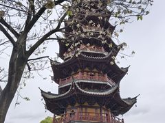 -龙华寺