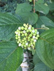 -大望京儿童游乐场