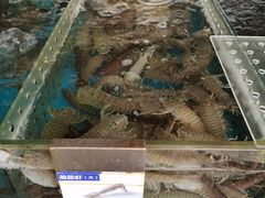 -四川小胡子海鲜(丁村万人海鲜广场店)