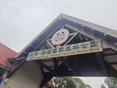 -上海海湾国家森林公园