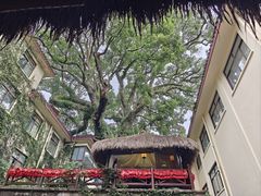 -普陀山雷迪森庄园