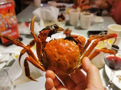 -裕龙汤泉
