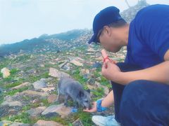 -灵山