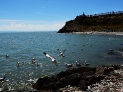 -青海湖国家重点风景名胜区