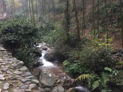 -仙霞关景区