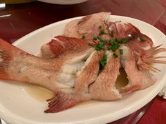 清蒸东星斑-渔满仓海鲜渔家(象山二店)