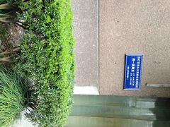 -上海交通大学医学院附属瑞金医院(总院)
