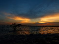 -宝安西湾红树林湿地公园