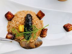 海参饭-梧桐