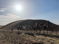 -银肯塔拉沙漠生态旅游景区