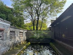 -八大山人梅湖景区
