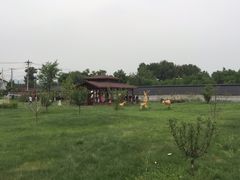 -精灵农庄