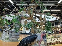 -昆明动物博物馆