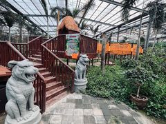 -呀路古热带植物园