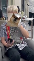 -ASG Hair Salon烫染·接发