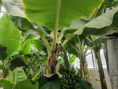 -兴芮温泉度假区