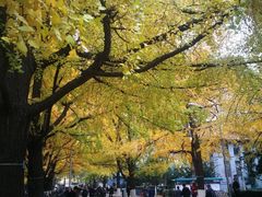 -四川大学(华西校区)