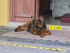 -观音山圆通寺