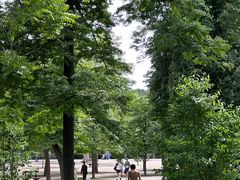 -丽池公园