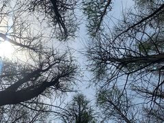 -艾溪湖湿地公园