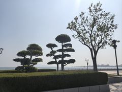 -幸福门