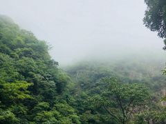 -白云源风景区
