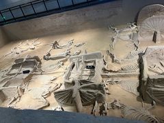 -洛阳周王城天子驾六博物馆