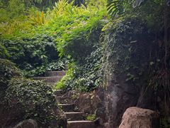 -广州兰圃