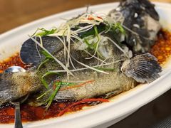 清蒸海斑鱼-观海轩餐厅(一线海景店)