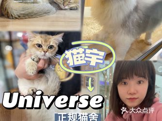 Universe猫宇 | 天河靠谱猫舍️