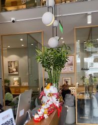 -七色田儿童摄影(静安店)