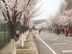 -东湖落雁景区