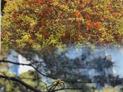 -元大都城垣遗址公园