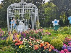 -上海共青森林公园