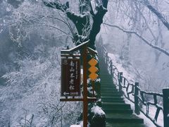-终南山国家森林公园