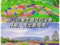 -上海辰山植物园