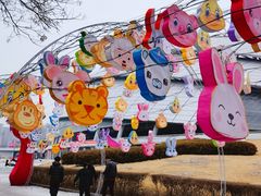 -沈阳奥体冰雪嘉年华