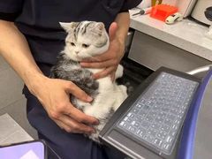 -爱妮康宠物医院·干细胞免疫细胞·肿瘤·心脏(张江店)