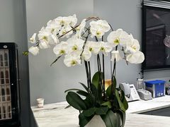 -盛时钟表维修上海钟表商店