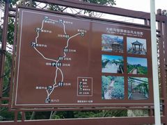 -大岭沟猕猴桃谷风景区