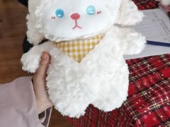 -天津大学爱尔眼科医院(天津院区)