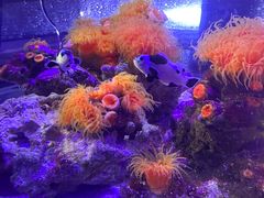 -海合安青岛极地海洋公园