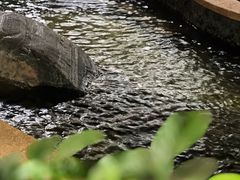 -天目湖涵田度假村