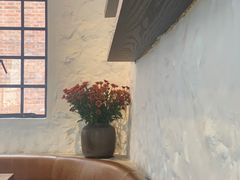 -Apollo·西班牙小酒馆(安福路店)