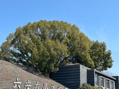 -云间粮仓