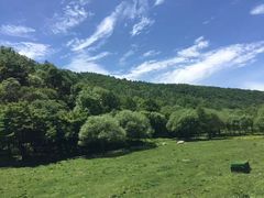 景点-大水川景区