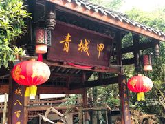 -青城甲(青城山店)